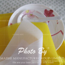 Polyester Silk Screen Printing Mesh